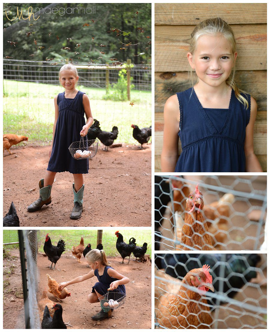 woodstock ga farm fresh eggs family photographer