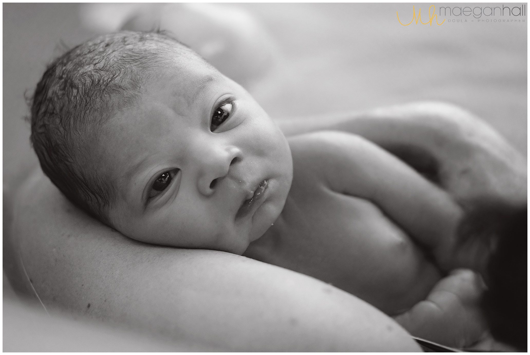 https://maeganhallphotography.com/wp-content/uploads/2023/08/atlanta-birth-photographer-doula-maegan-hall-waterbirth-homebirth_0008.jpg