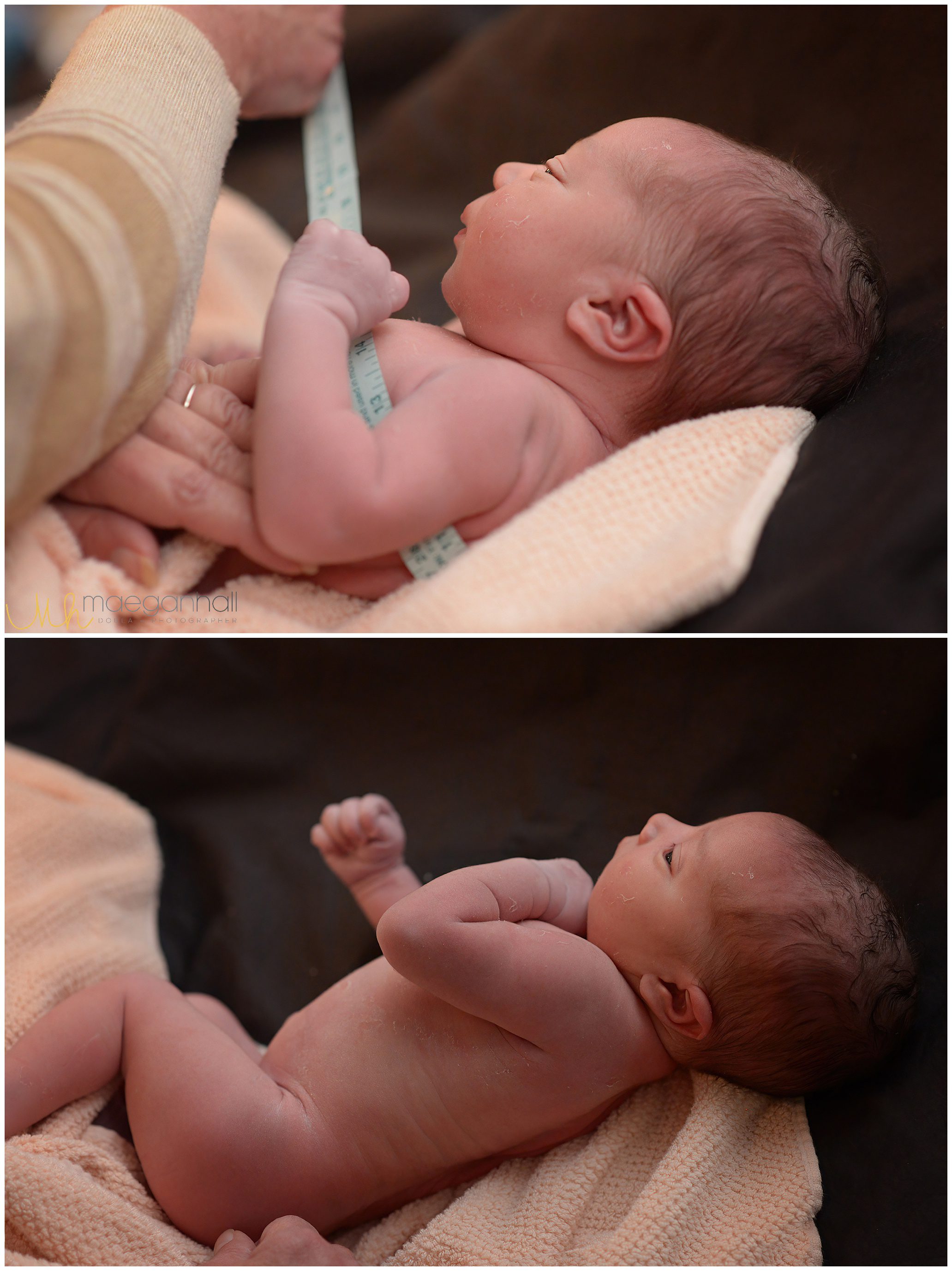 https://maeganhallphotography.com/wp-content/uploads/2023/08/atlanta-birth-photographer-doula-maegan-hall-waterbirth-homebirth_0017.jpg